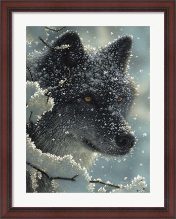 Framed Black Wolf - Black in White Print