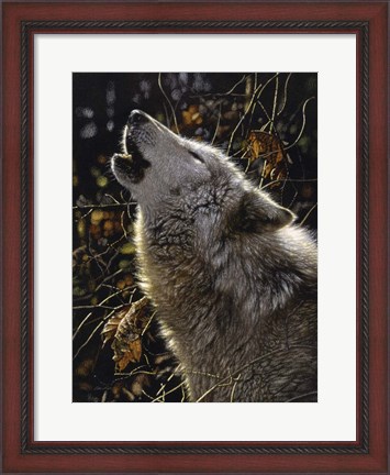 Framed Howling Wolf - Songs of Autumn Print