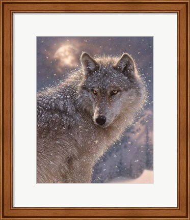 Framed Lone Wolf Print