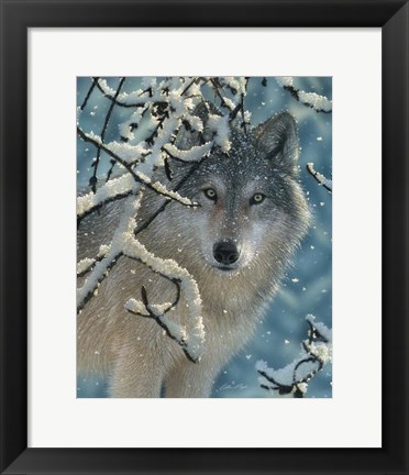 Framed Wolf - Broken Silence Print