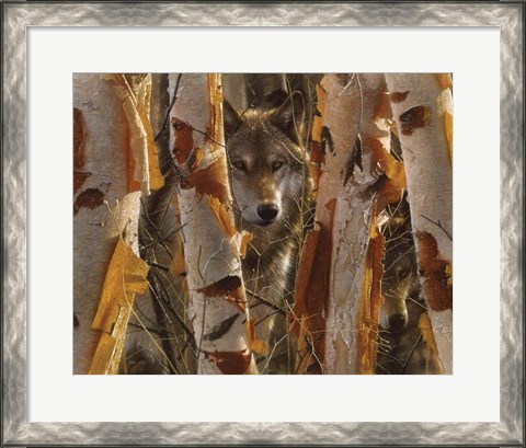 Framed Wolves - The Guardian Print