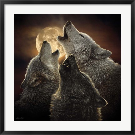 Framed Wolf Trinity Print