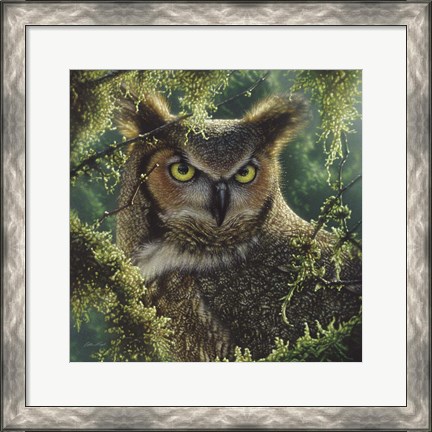 Framed Great Horned Owl - Watching and Waiting Print