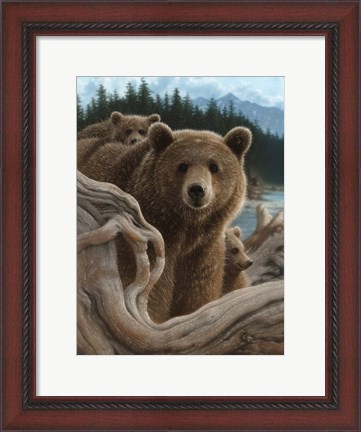 Framed Brown Bears - Backpacking Print
