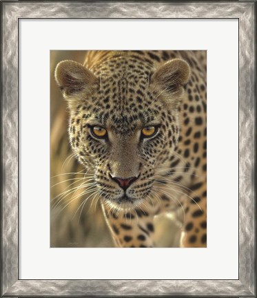 Framed Leopard - On the Prowl Print