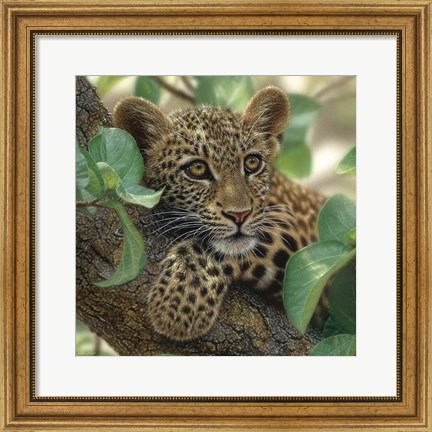 Framed Leopard Cub - Tree Hugger Print