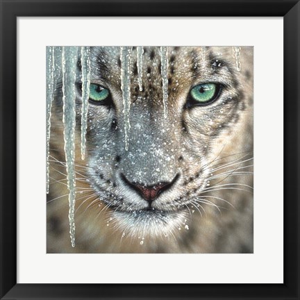 Framed Snow Leopard - Blue Ice Print