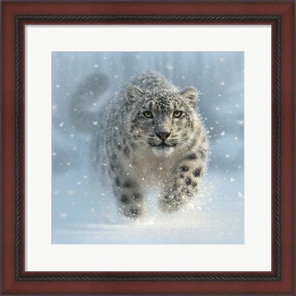 Framed Snow Leopard - Snow Ghost Print