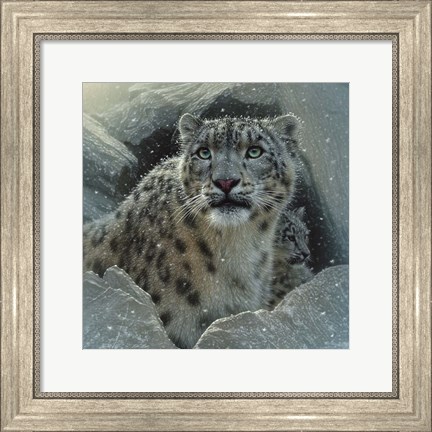 Framed Snow Leopard - The Fortress Print