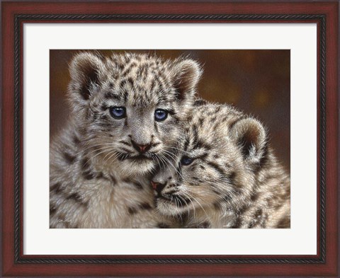 Framed Snow Leopard Cubs - Playmates - Horizontal Print