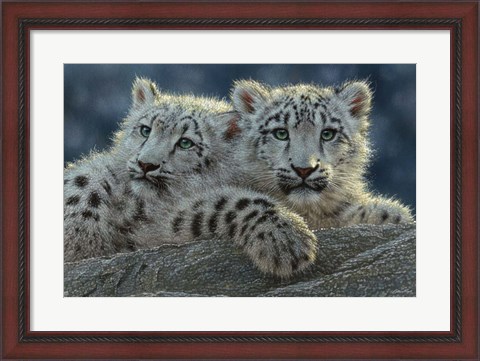 Framed Snow Leopard Cubs Print