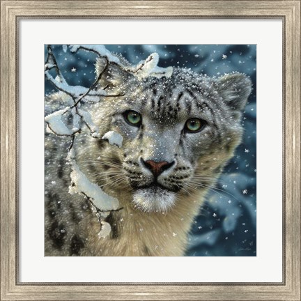 Framed Snow Leopard Print