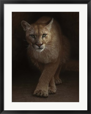 Framed Cougar - Emergence Print
