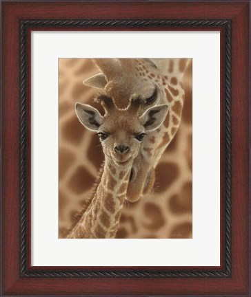 Framed Newborn Giraffe Print