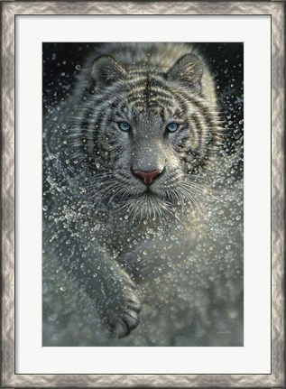 Framed White Tiger - West and Wild Print