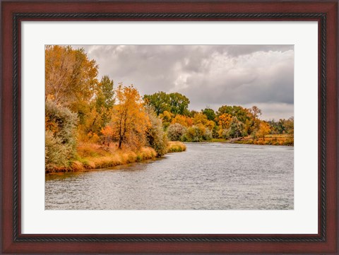 Framed Snake River Autumn III Print