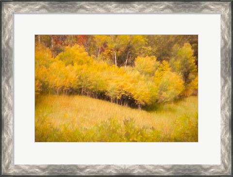 Framed Fall Thicket Print