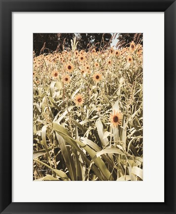 Framed Baby Sunflowers Print