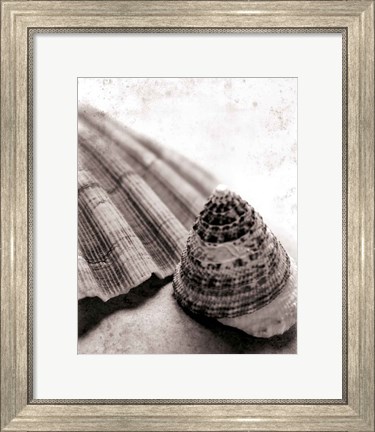 Framed Gifts From the Sea No Border Print