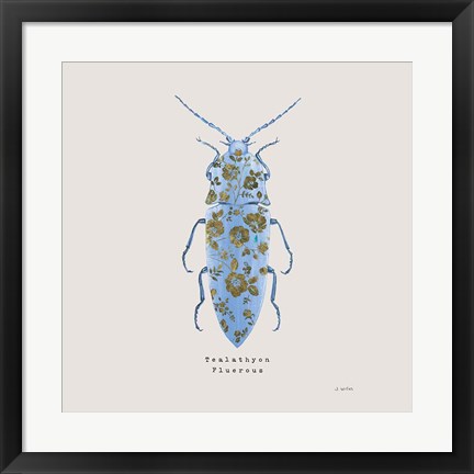 Framed Adorning Coleoptera VIII Sq Blue Print