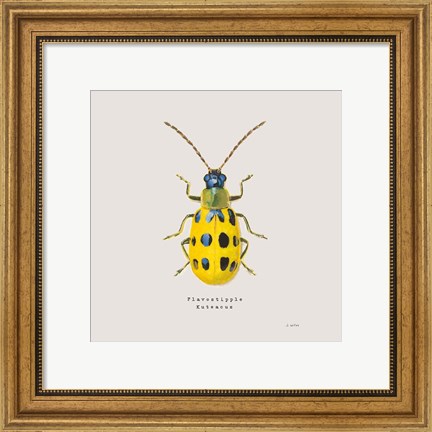 Framed Adorning Coleoptera VII Sq Golden Print