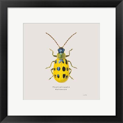 Framed Adorning Coleoptera VII Sq Golden Print