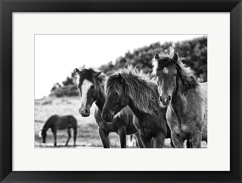 Framed Horses Three Print