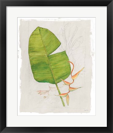 Framed Botanical Journal I Light Print