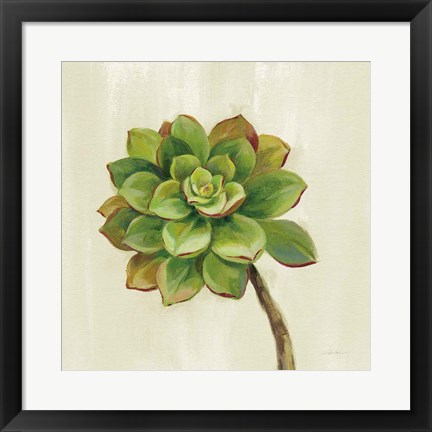 Framed Front Yard Succulent IV Print