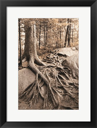 Framed Strong Roots Print