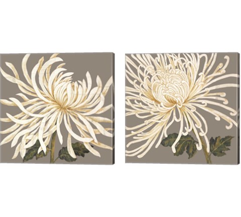 Glorious White 2 Piece Canvas Print Set by Judy Shelby