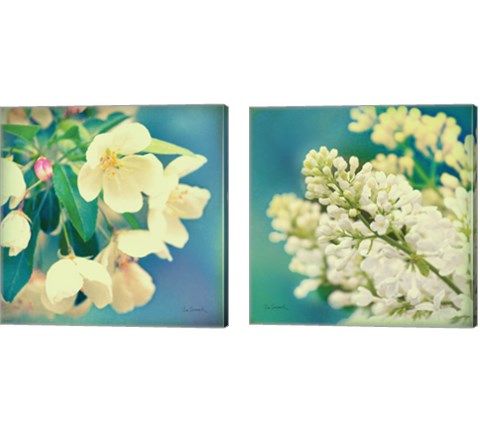 Natures Apple Blossom 2 Piece Canvas Print Set by Sue Schlabach