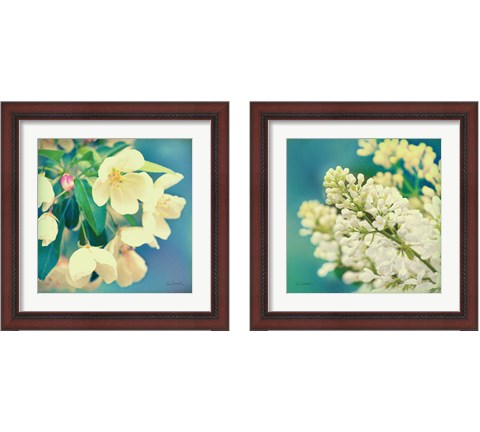 Natures Apple Blossom 2 Piece Framed Art Print Set by Sue Schlabach
