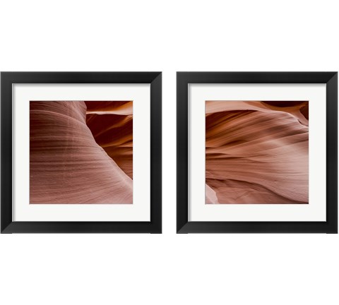 Antelope Panorama 2 Piece Framed Art Print Set by Moises Levy