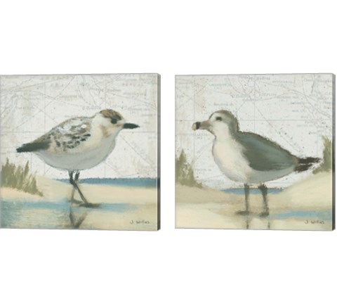 Beach Bird 2 Piece Canvas Print Set by James Wiens