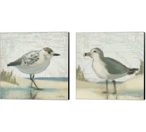 Beach Bird 2 Piece Canvas Print Set by James Wiens