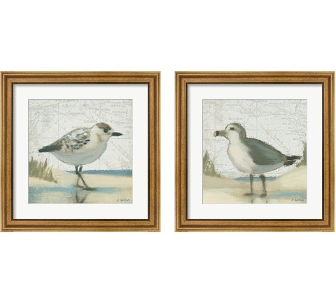 Beach Bird 2 Piece Framed Art Print Set by James Wiens
