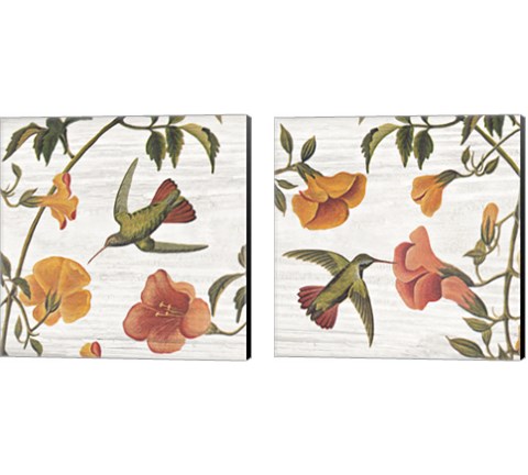Vintage Hummingbird 2 Piece Canvas Print Set by Wild Apple Portfolio