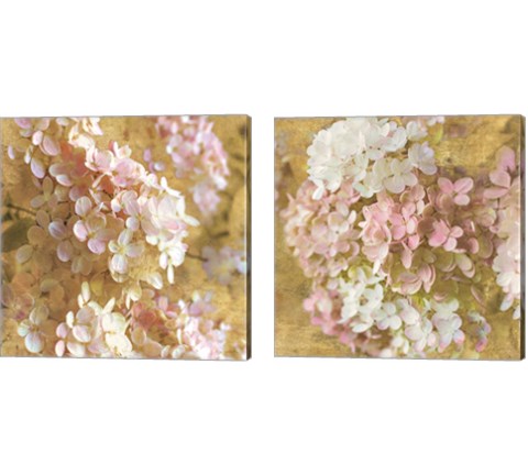 Gilded Hydrangea 2 Piece Canvas Print Set by Sue Schlabach