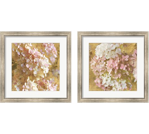 Gilded Hydrangea 2 Piece Framed Art Print Set by Sue Schlabach