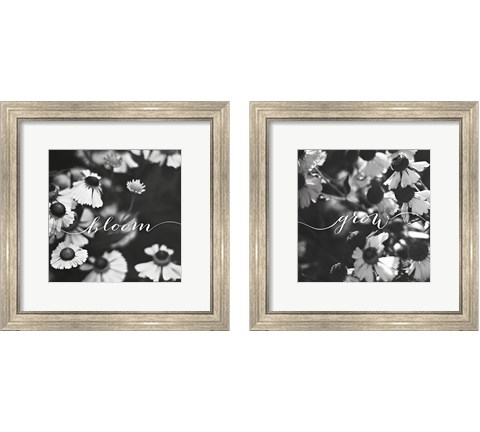 Bloom and Grow 2 Piece Framed Art Print Set by Laura Marshall