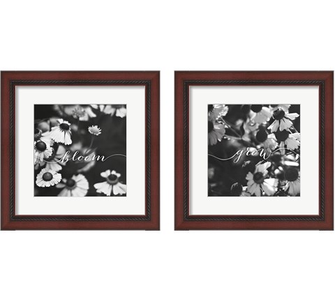 Bloom and Grow 2 Piece Framed Art Print Set by Laura Marshall