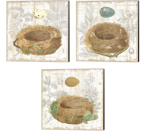 Botanical Nest 3 Piece Canvas Print Set by Moira Hershey