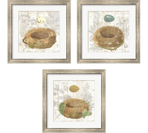 Botanical Nest 3 Piece Framed Art Print Set by Moira Hershey