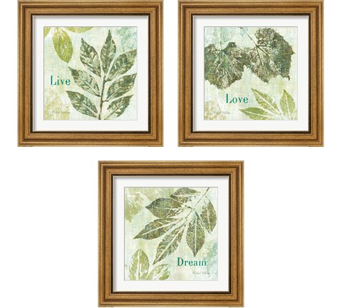 Natures Impressions 3 Piece Framed Art Print Set by Michael Mullan