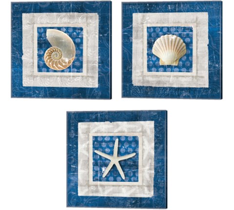 Sea Shell on Blue 3 Piece Canvas Print Set by Belinda Aldrich