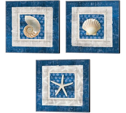 Sea Shell on Blue 3 Piece Canvas Print Set by Belinda Aldrich