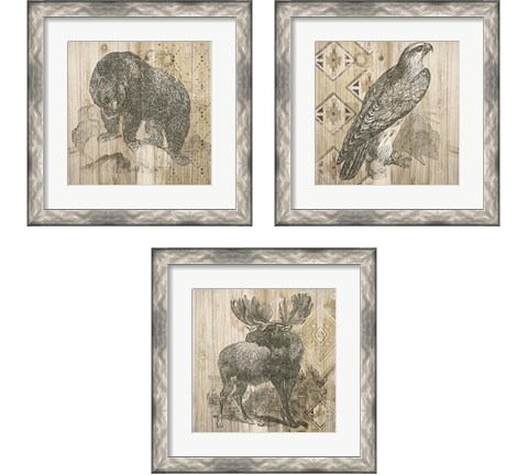 Natural History Lodge 3 Piece Framed Art Print Set by Wild Apple Portfolio