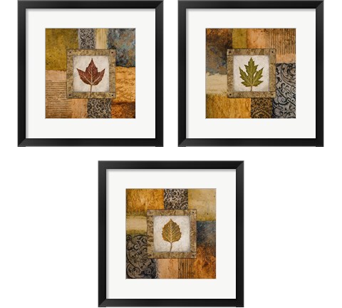 Fallen Leaf 3 Piece Framed Art Print Set by Michael Marcon