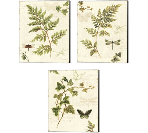 Ivies and Ferns 3 Piece Canvas Print Set by Lisa Audit
